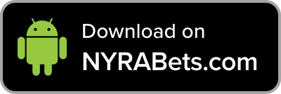 Get it on Google Play